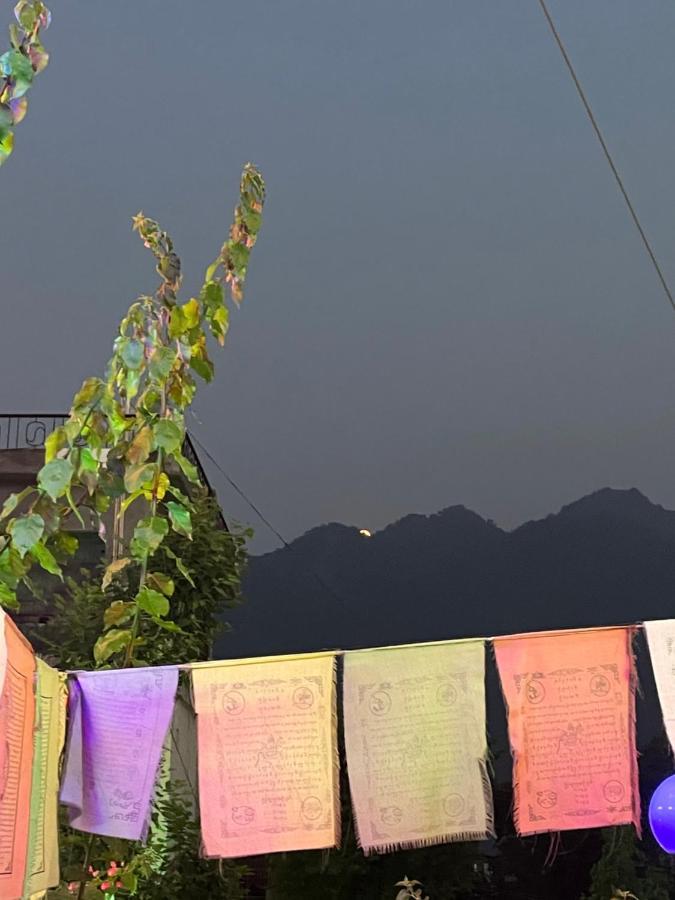 Orchid Hostel And Hotel Tapovan Exterior foto